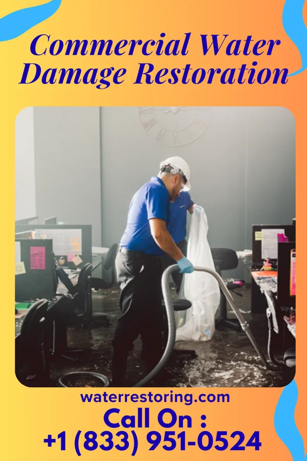 Commercial Water Damage Restoration in Haysville, KS