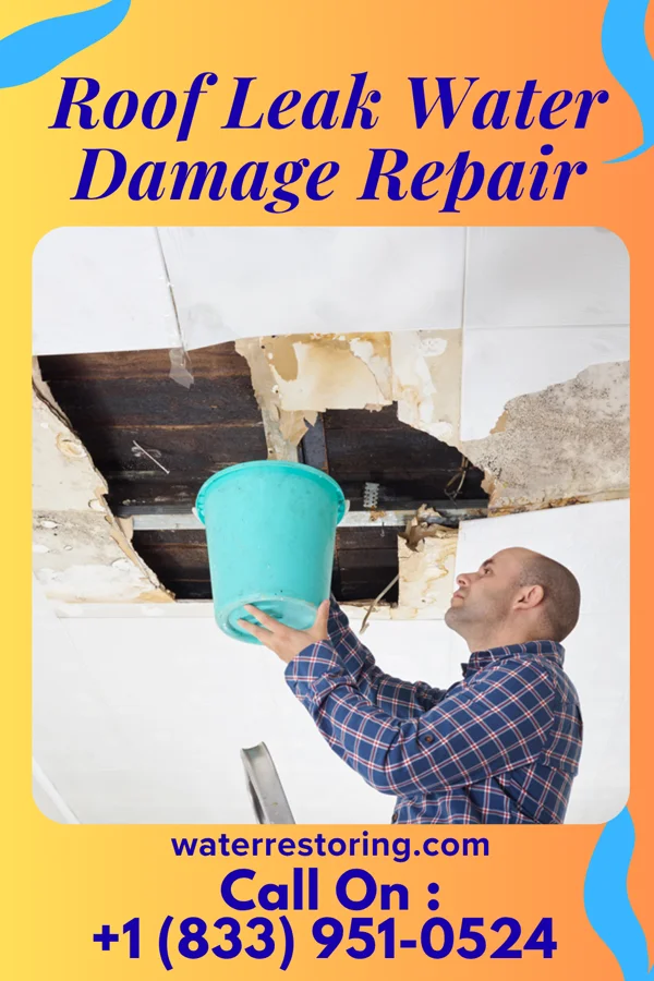 Roof Leak Water Damage Repair in Haysville, KS